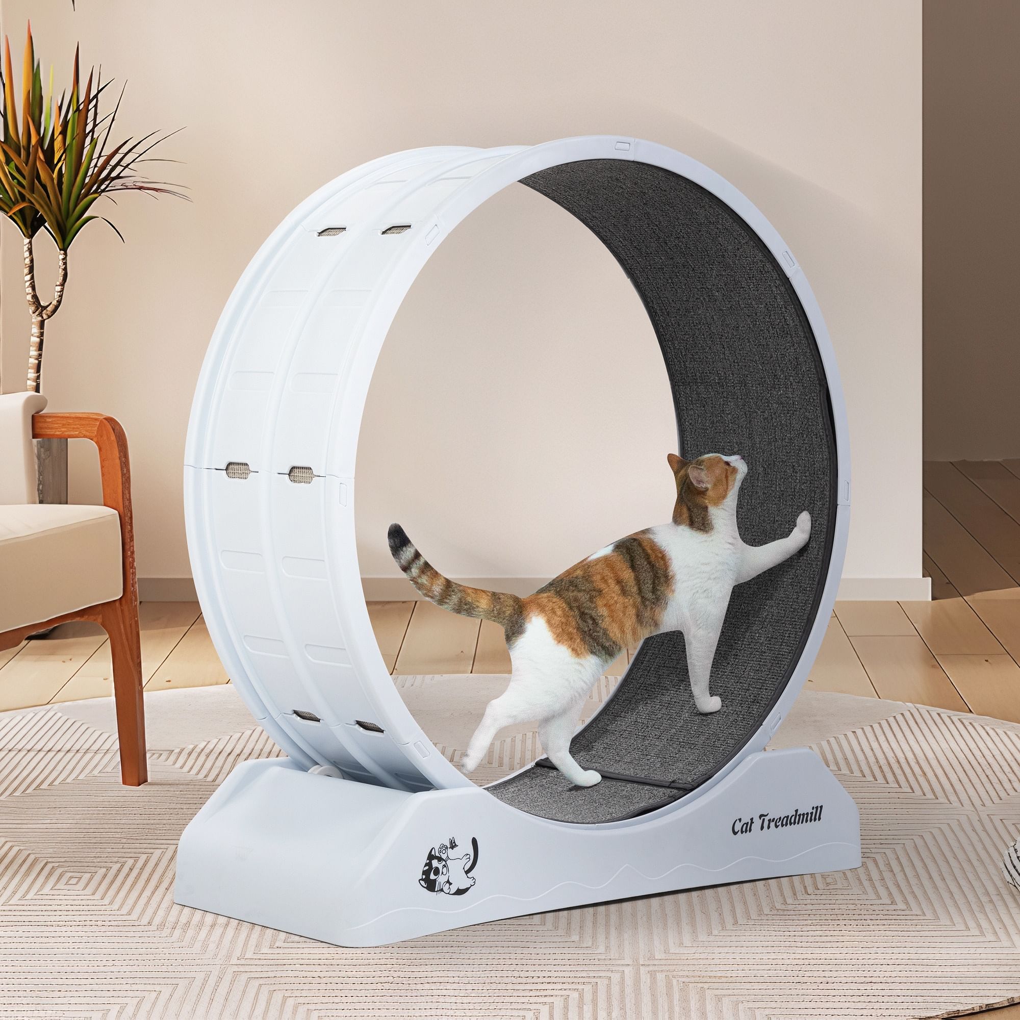 Cat Running Wheel with Carpet Runway – Exercise, Fun, and Mental Stimulation - White