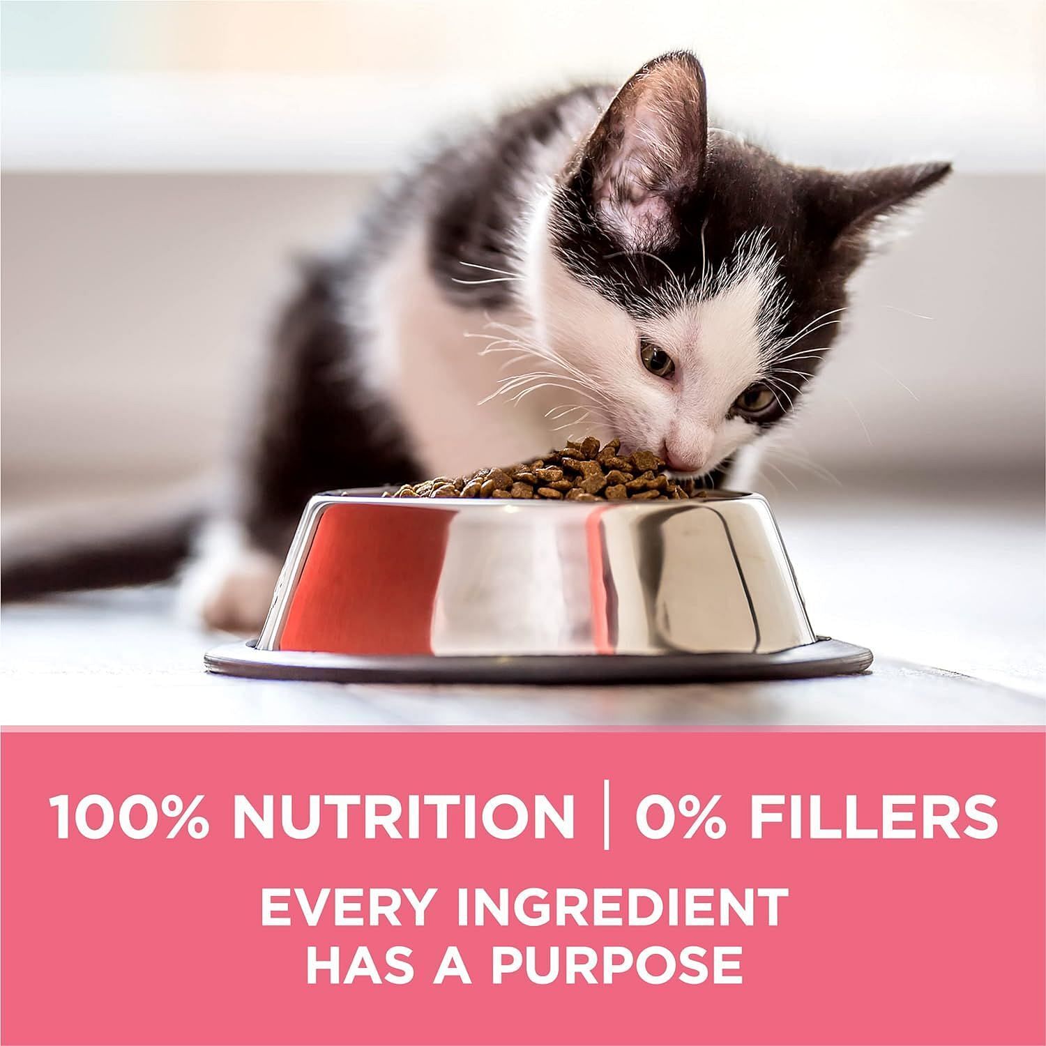 Purina One +Plus Healthy Kitten Formula for Kittens, 3.5 lb Bag - Image 3