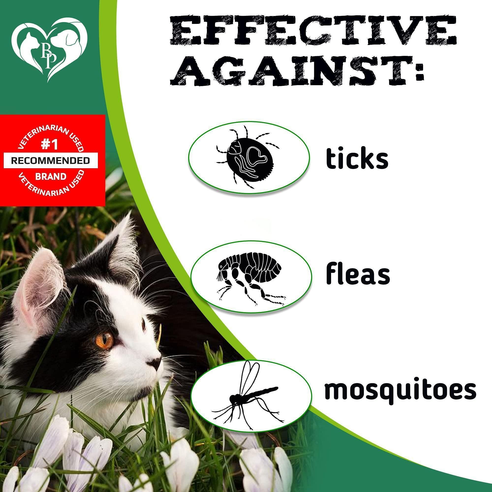 Flea and Tick Prevention Chews for Cats – Natural Formula, Salmon Flavor, Vet-Developed - Image 2