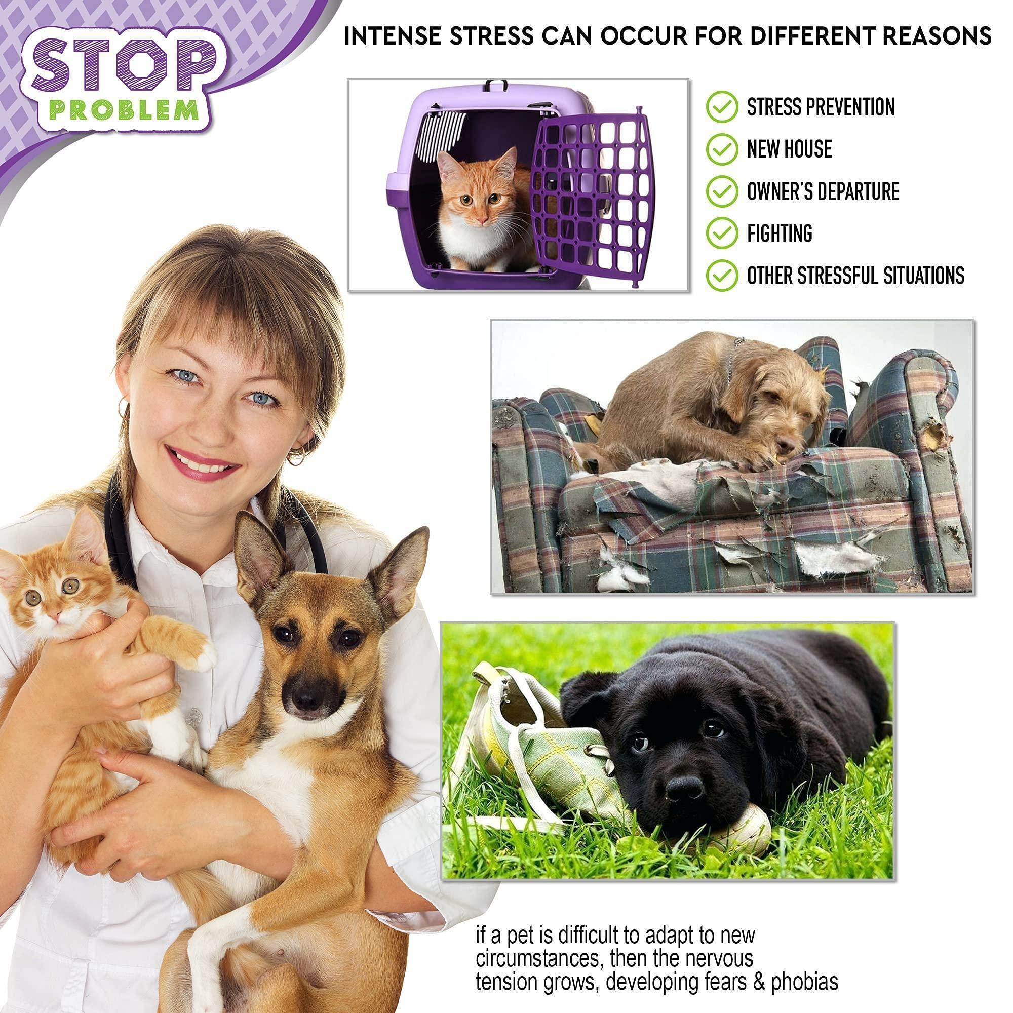 Calming Pheromone Spray for Cats - Reduces Stress, Scratching, & Anxiety - Image 2