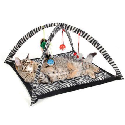 Zebra Zone Cat Play Tent