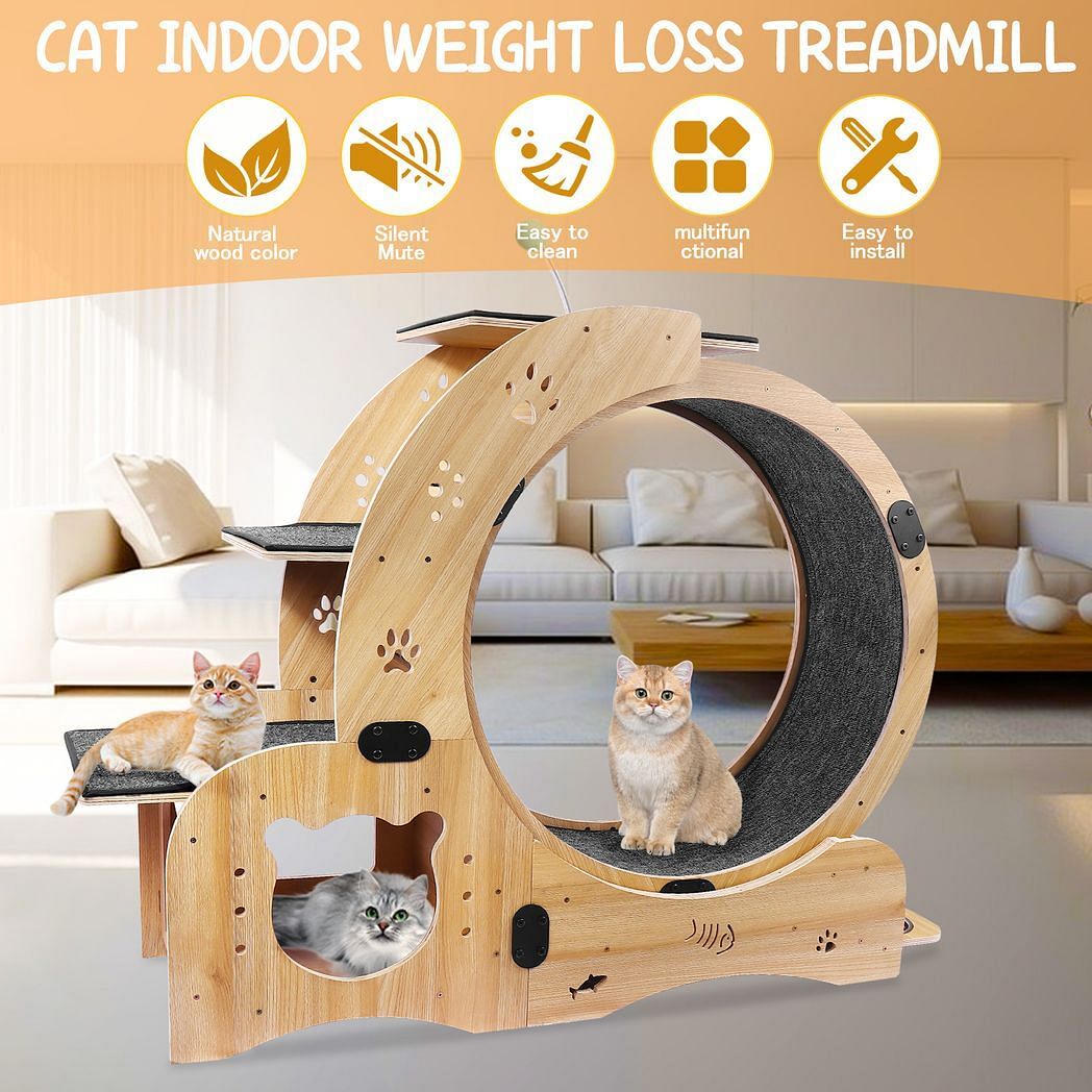 Meow-velous Motion Cat Wheel - Image 2
