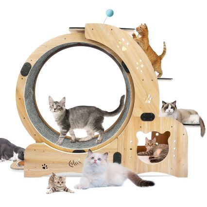 Meow-velous Motion Cat Wheel