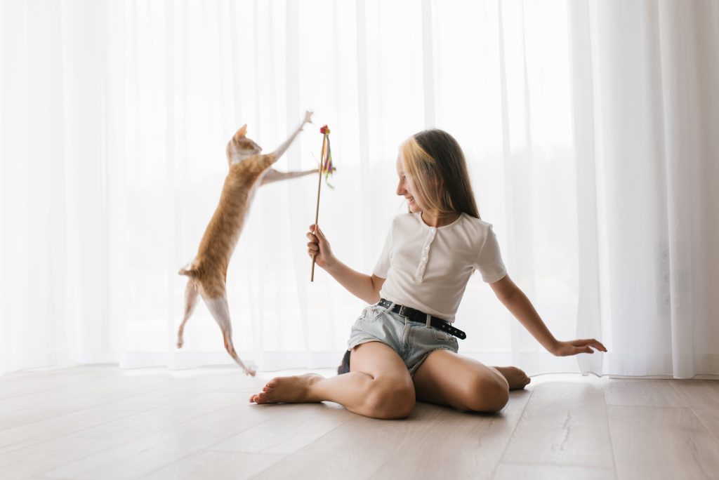 Teen Girl Sitting on the Floor Playing with a Cat Cornish Rex with a Stick Teaser in the House
