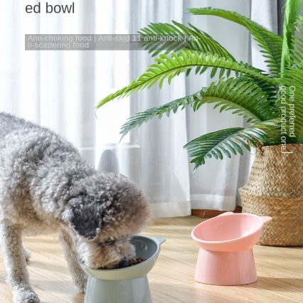 Elevated Orthopedic Cat Feeding Bowl - Tilted Neck Protection Anti-Tip Pet Food & Water Bowl