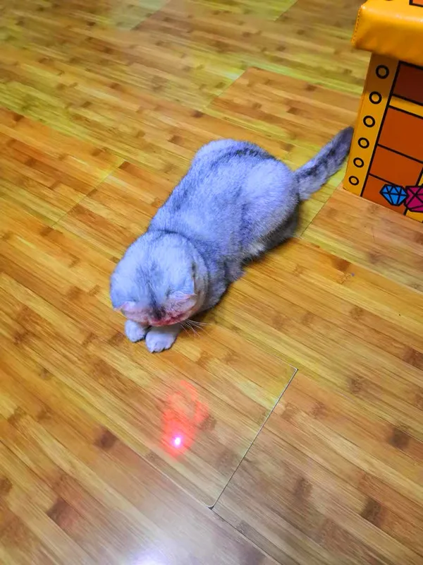 USB Rechargeable Laser Pointer Cat Toy - Interactive LED Light Chaser Stick for Cats - Image 2
