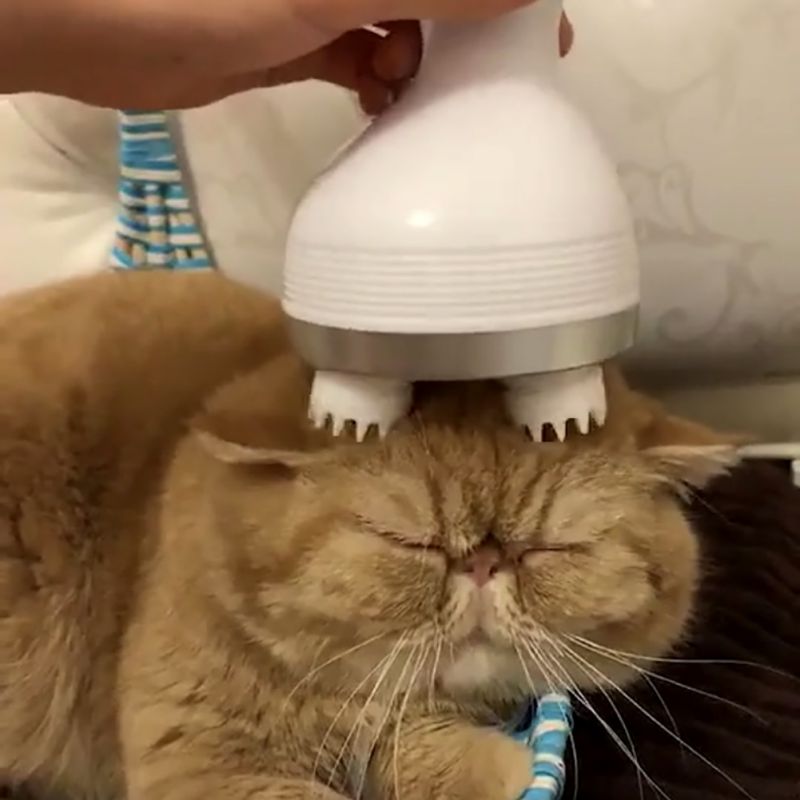 SerenityClaw Electric Head Massager